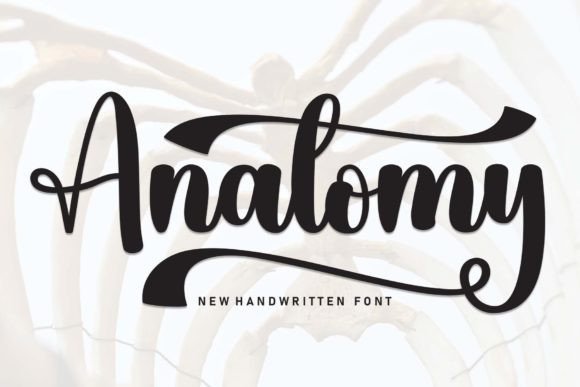 Anatomy Font: A Friendly Handwritten Typeface for Web Design