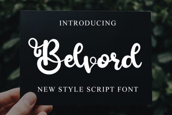 Belvord Font Review: A Modern Script for Campaigns