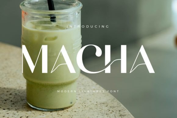 Macha Typeface Review: Elevating Web Headers with Bold Serif Style