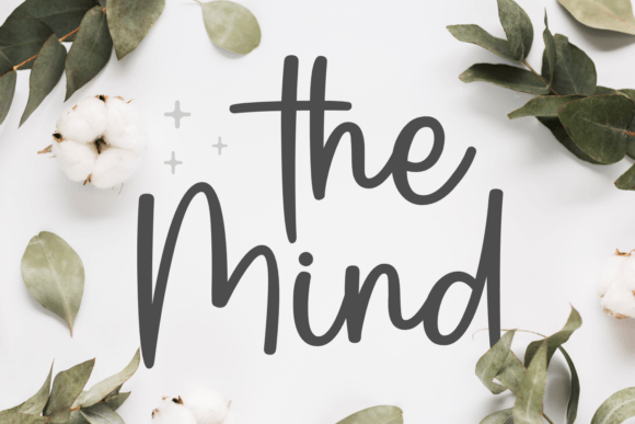 The Mind: A Script Font That Elevates Your Campaigns